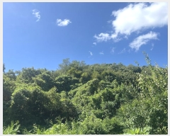  2024Ÿ��4734  �Ӿ߰��