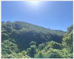  2024Ÿ��4734  �Ӿ߰��