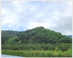  2024Ÿ��4734  �Ӿ߰��