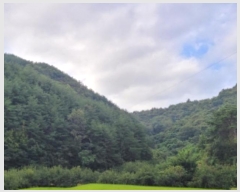  2024Ÿ��4734  �Ӿ߰��