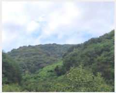  2024Ÿ��4734  �Ӿ߰��