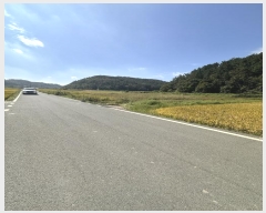  2024Ÿ��4918 �泲 ���ֽ� ������ û�㸮 622      ����(��)���