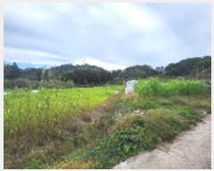  2024Ÿ5492 泲 õ   445-1      ()