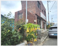  2024Ÿ5492 泲 õ   445-1      ()