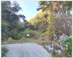  2024Ÿ5935 泲 û ܼ  914-8      ()