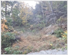  2024Ÿ5935 泲 û ܼ  914-8      ()