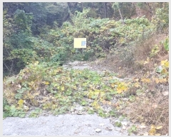  2024Ÿ5935 泲 û ܼ  914-8      ()