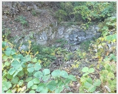  2024Ÿ5935 泲 û ܼ  914-8      ()