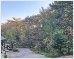  2024Ÿ5935 泲 û ܼ  914-8      ()