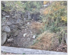  2024Ÿ5935 泲 û ܼ  914-8      ()