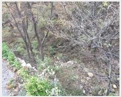  2024Ÿ5935 泲 û ܼ  914-8      ()