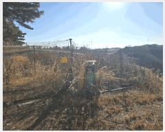  2024Ÿ6686 泲 ֽ  긮 141-9      ()