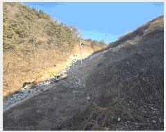  2024Ÿ6686 泲 ֽ  긮 141-9      ()