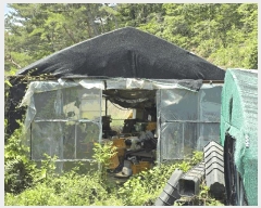  2024Ÿ6686 泲 ֽ  긮 141-9      ()