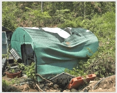  2024Ÿ6686 泲 ֽ  긮 141-9      ()