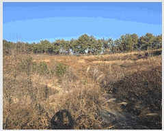  2024Ÿ6686 泲 ֽ  긮 141-9      ()