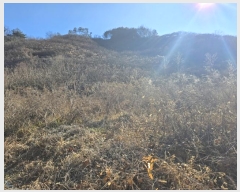  2024Ÿ��6730 �泲 ���ֽ� ������ ������ 432-1      ����(������)���