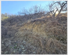  2024Ÿ��6730 �泲 ���ֽ� ������ ������ 432-1      ����(������)���