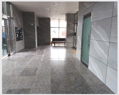  2024Ÿ��31170  ����Ʈ���