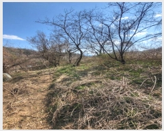  2024Ÿ��31712 �泲 ��õ�� �ൿ�� �ݿ븮 726      ����(��1)���