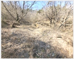  2024Ÿ��31712 �泲 ��õ�� �ൿ�� �ݿ븮 726      ����(��1)���