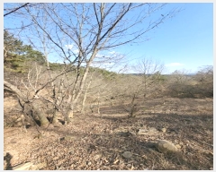  2024Ÿ��31712 �泲 ��õ�� �ൿ�� �ݿ븮 726      ����(��1)���