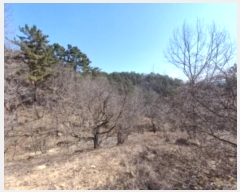  2024Ÿ��31712 �泲 ��õ�� �ൿ�� �ݿ븮 726      ����(��1)���