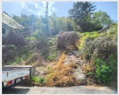  2024Ÿ32708 泲 ֽ  402-1       (1)