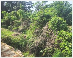  2024Ÿ��33817 �泲 ���ر� ���� ������ 373      ����(�Ӿ�)���