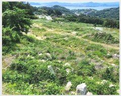  2024Ÿ��33817 �泲 ���ر� ���� ������ 373      ����(�Ӿ�)���