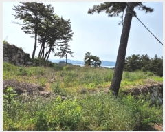  2024Ÿ��33817 �泲 ���ر� ���� ������ 373      ����(�Ӿ�)���