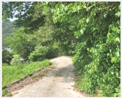  2024Ÿ��33817 �泲 ���ر� ���� ������ 373      ����(�Ӿ�)���