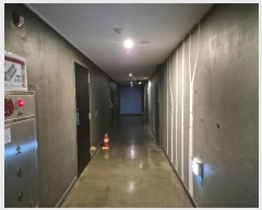  2024Ÿ��35301  �ܵ�(ȣ��)���