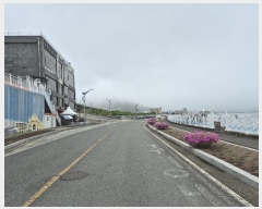  2024Ÿ��35301  �ܵ�(ȣ��)���