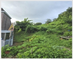  2024Ÿ��36007 �泲 ���ֽ� ���浿 332       ����(��1)���