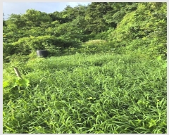  2024Ÿ��36007 �泲 ���ֽ� ���浿 332       ����(��1)���