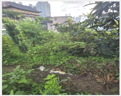  2024Ÿ��36007 �泲 ���ֽ� ���浿 332       ����(��1)���