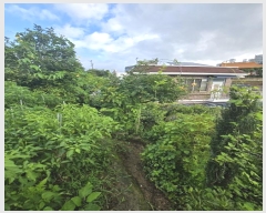  2024Ÿ��36007 �泲 ���ֽ� ���浿 332       ����(��1)���