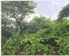  2024Ÿ��36007 �泲 ���ֽ� ���浿 332       ����(��1)���