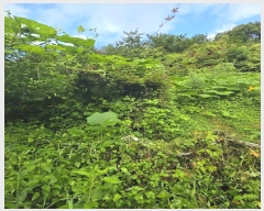  2024Ÿ��36007 �泲 ���ֽ� ���浿 332       ����(��1)���