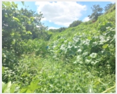  2024Ÿ��36007 �泲 ���ֽ� ���浿 332       ����(��1)���