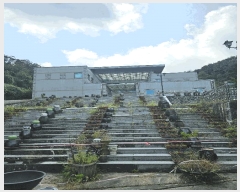  2024Ÿ��36588  ��ʰ��ýü����