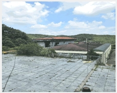  2024Ÿ��36588  ��ʰ��ýü����