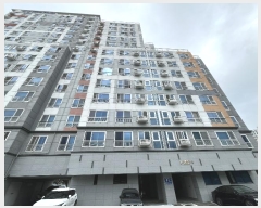  2024Ÿ37307 泲 õ ߾ӷ 238, 141403ȣ (밭,溧νڶ)     ǽڰ