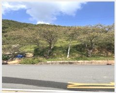  2024Ÿ��37802  �����