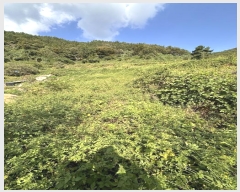  2024Ÿ��37802  �����