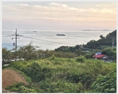  2024Ÿ��37802  �����