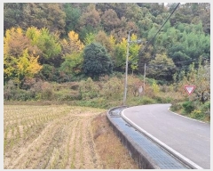  2024Ÿ37901 泲 û 񷮸  1313      ()