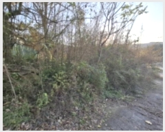  2024Ÿ��39167 �泲 ���ر� ���� ������ 860      ����(��1)���