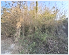  2024Ÿ��39167 �泲 ���ر� ���� ������ 860      ����(��1)���